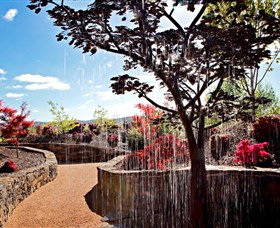 The Water Garden At Mayfield Garden - Surfers Paradise Gold Coast 2
