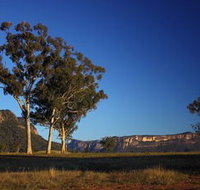 Capertee Valley Bird Trail - Surfers Paradise Gold Coast