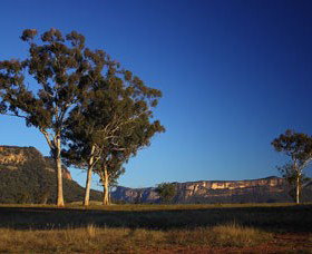 Capertee Valley Bird Trail - Surfers Paradise Gold Coast 0