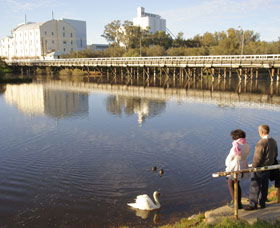 Avon River - Surfers Paradise Gold Coast 1
