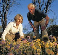 Canna Reserve - Surfers Paradise Gold Coast