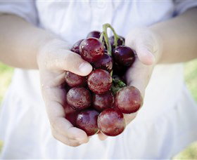 Granitevale  Estate Winery - Surfers Paradise Gold Coast 0