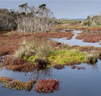 French Island National Park - Surfers Paradise Gold Coast