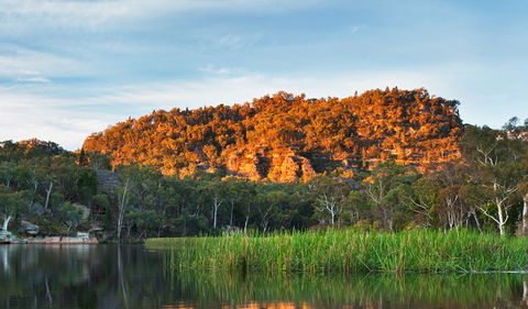 Wollemi National Park - Surfers Paradise Gold Coast 0