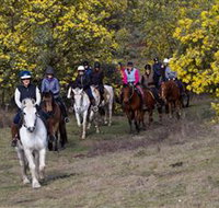 Burnelee Excursions on Horseback - Surfers Paradise Gold Coast