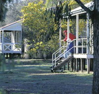 Dryandra Woodland - Surfers Paradise Gold Coast