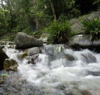 Washpool National Park - Surfers Paradise Gold Coast