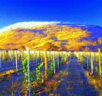 Surveyors Hill Winery - Surfers Paradise Gold Coast