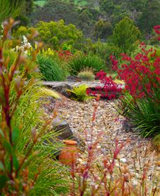 Ungulla Country Garden - Surfers Paradise Gold Coast 1