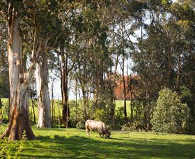 Ungulla Country Garden - Surfers Paradise Gold Coast 8