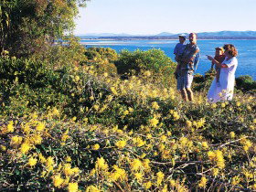 Seventeen Seventy QLD Surfers Paradise Gold Coast