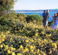 Joseph Banks Conservation Park - Surfers Paradise Gold Coast