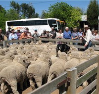 Gold Creek Station - Surfers Paradise Gold Coast