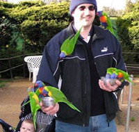 Canberra Walk In Aviary - Surfers Paradise Gold Coast