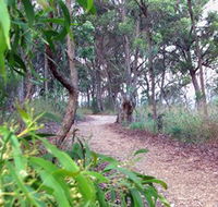 Mount Mutton Walking Trail - Surfers Paradise Gold Coast
