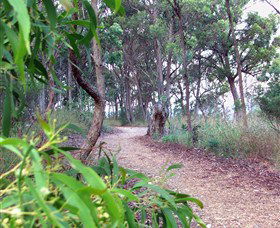 Mount Mutton Walking Trail - Surfers Paradise Gold Coast 0