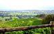 Hollydene Estate Wines And Vines Restaurant - thumb 2