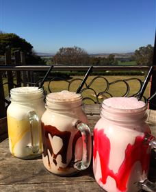Hollydene Estate Wines And Vines Restaurant - Surfers Paradise Gold Coast 6