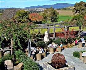 Hollydene Estate Wines And Vines Restaurant - Surfers Paradise Gold Coast 8