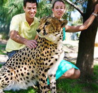 National Zoo  Aquarium - Surfers Paradise Gold Coast