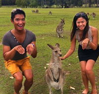 Runaway Tours - Surfers Paradise Gold Coast