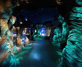 SEA LIFE Sydney Aquarium - Surfers Paradise Gold Coast 3