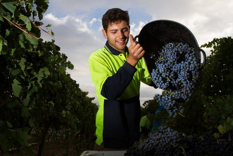 Clonakilla Wines - Surfers Paradise Gold Coast 3