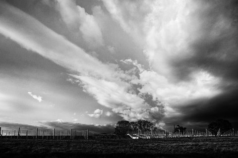 Clonakilla Wines - Surfers Paradise Gold Coast 5