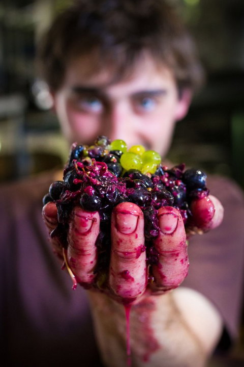 Clonakilla Wines - Surfers Paradise Gold Coast 6