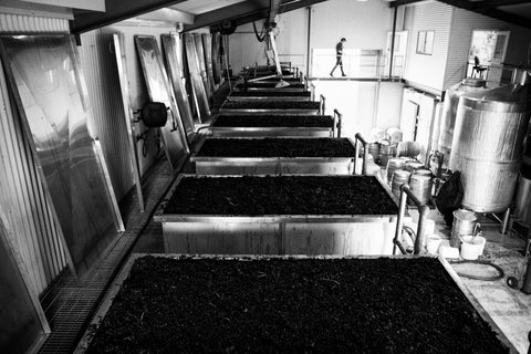 Clonakilla Wines - Surfers Paradise Gold Coast 9