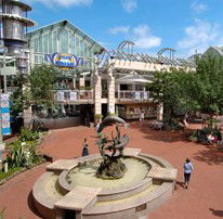Brookvale NSW Surfers Paradise Gold Coast
