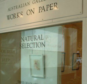 Australian Galleries - Glenmore Road - Surfers Paradise Gold Coast 0