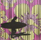Iain Dawson Gallery - Surfers Paradise Gold Coast 2