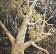 Ku-Ring-Gai Art Centre  Gallery - Surfers Paradise Gold Coast