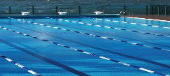 Andrew Boy Charlton Pool - Surfers Paradise Gold Coast 1
