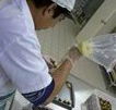 Fremantle Chocolate Pty ltd - Surfers Paradise Gold Coast