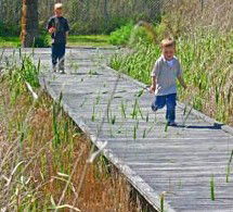 Hunter Wetlands Centre Australia - Surfers Paradise Gold Coast 1