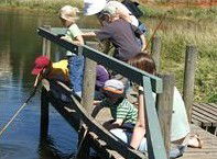 Hunter Wetlands Centre Australia - Surfers Paradise Gold Coast 2