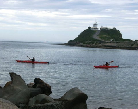 Newcastle Kayak Tours - Surfers Paradise Gold Coast 0