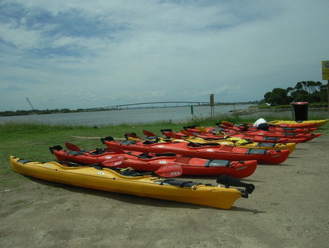 Newcastle Kayak Tours - Surfers Paradise Gold Coast 2