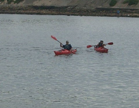 Newcastle Kayak Tours - Surfers Paradise Gold Coast 4