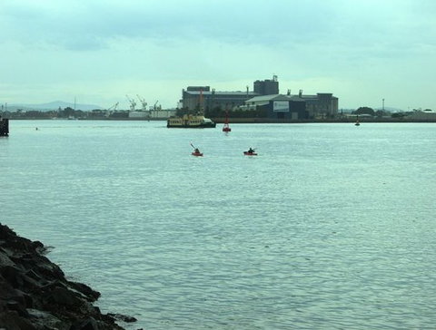 Newcastle Kayak Tours - Surfers Paradise Gold Coast 5