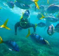 G Adventures - Surfers Paradise Gold Coast