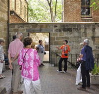 Free Tours Sydney - Surfers Paradise Gold Coast