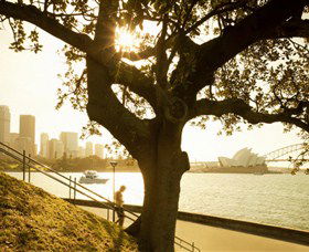 Royal Botanic Gardens And The Domain - Surfers Paradise Gold Coast 0