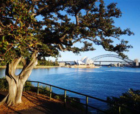 Royal Botanic Gardens And The Domain - Surfers Paradise Gold Coast 3