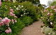 Ross Garden Tours - thumb 0