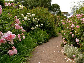 Ross Garden Tours - Surfers Paradise Gold Coast 0