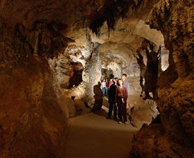 Country Charmâ„¢ Discovery Tours - Surfers Paradise Gold Coast 3