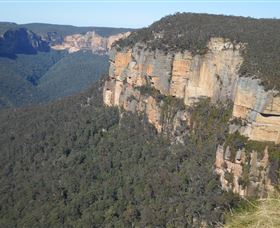 Country Charmâ„¢ Discovery Tours - Surfers Paradise Gold Coast 4